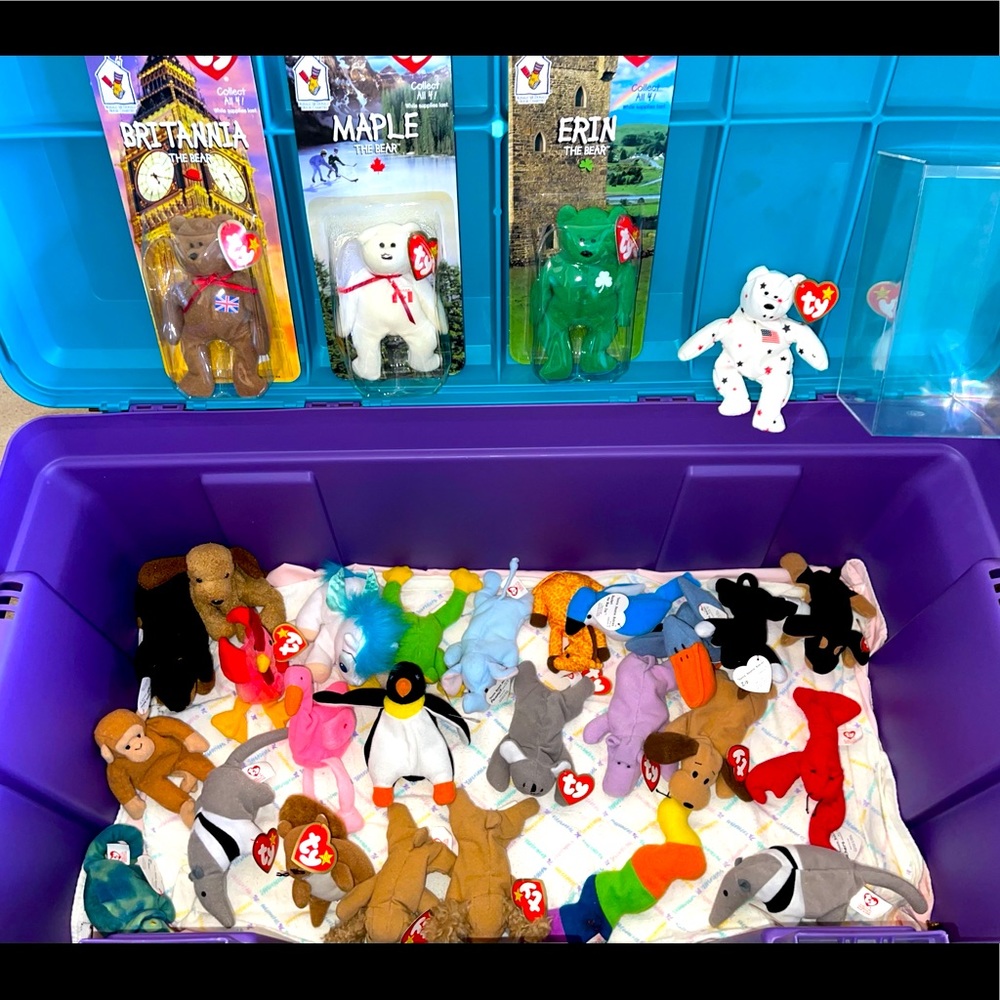 Beanie Babies (SOLD)